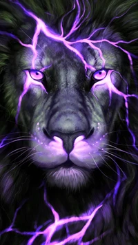 purple lion, wallpaper