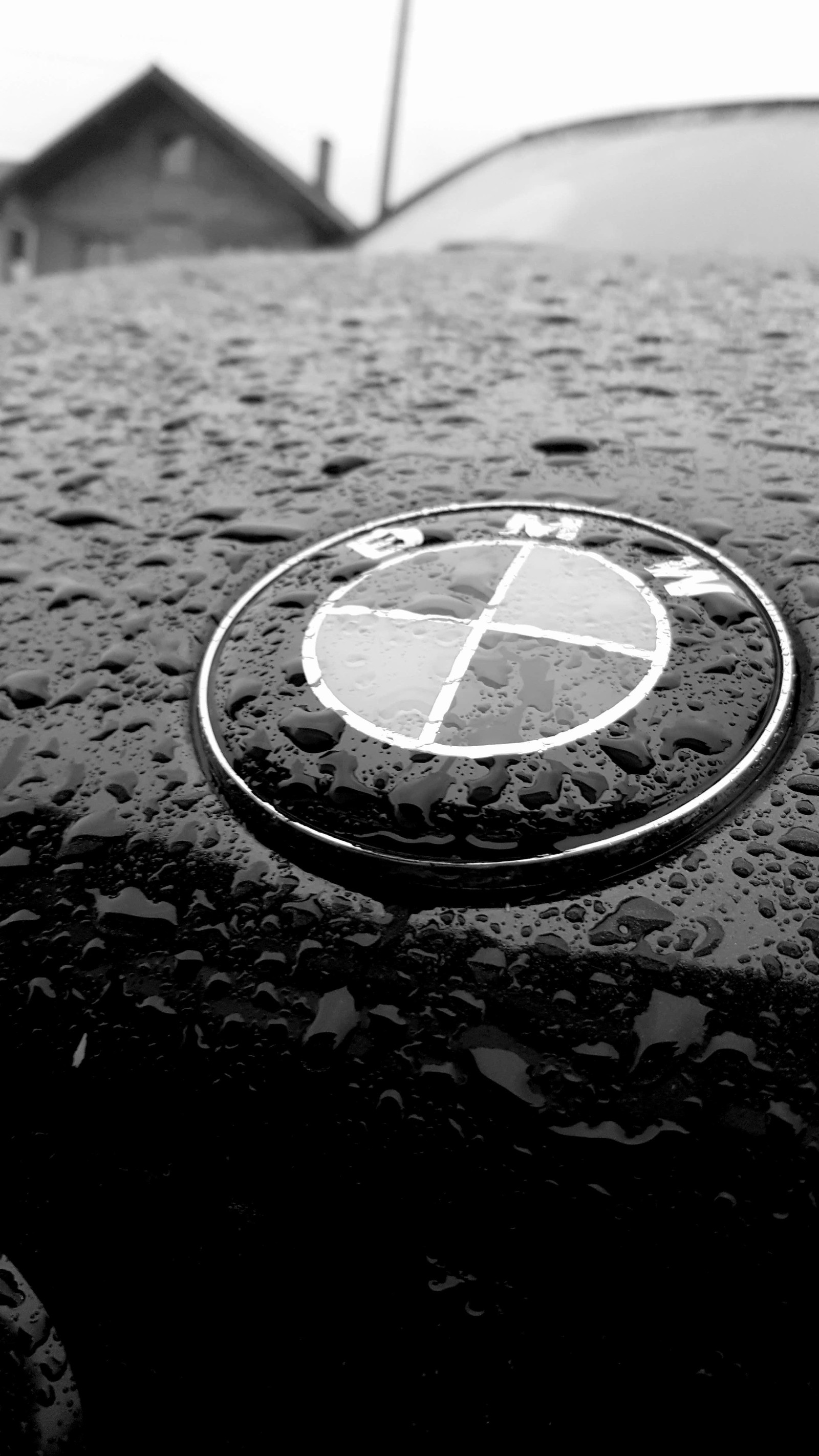 Um close do emblema da bmw em uma superfície molhada (bembara, bmw, bmwe36, bmwlogo, logotipo)