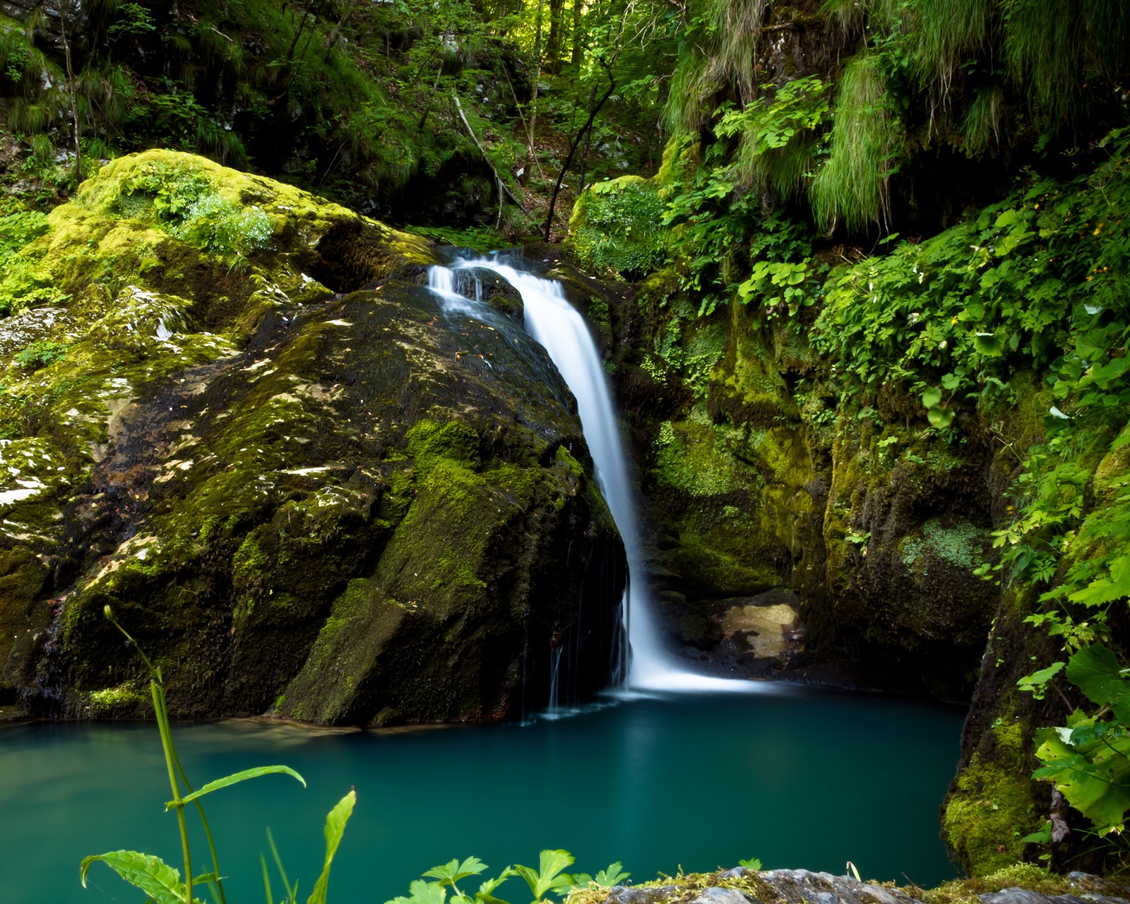 Un gros plan d'une cascade dans une forêt avec une forêt verte (paysage, nature)