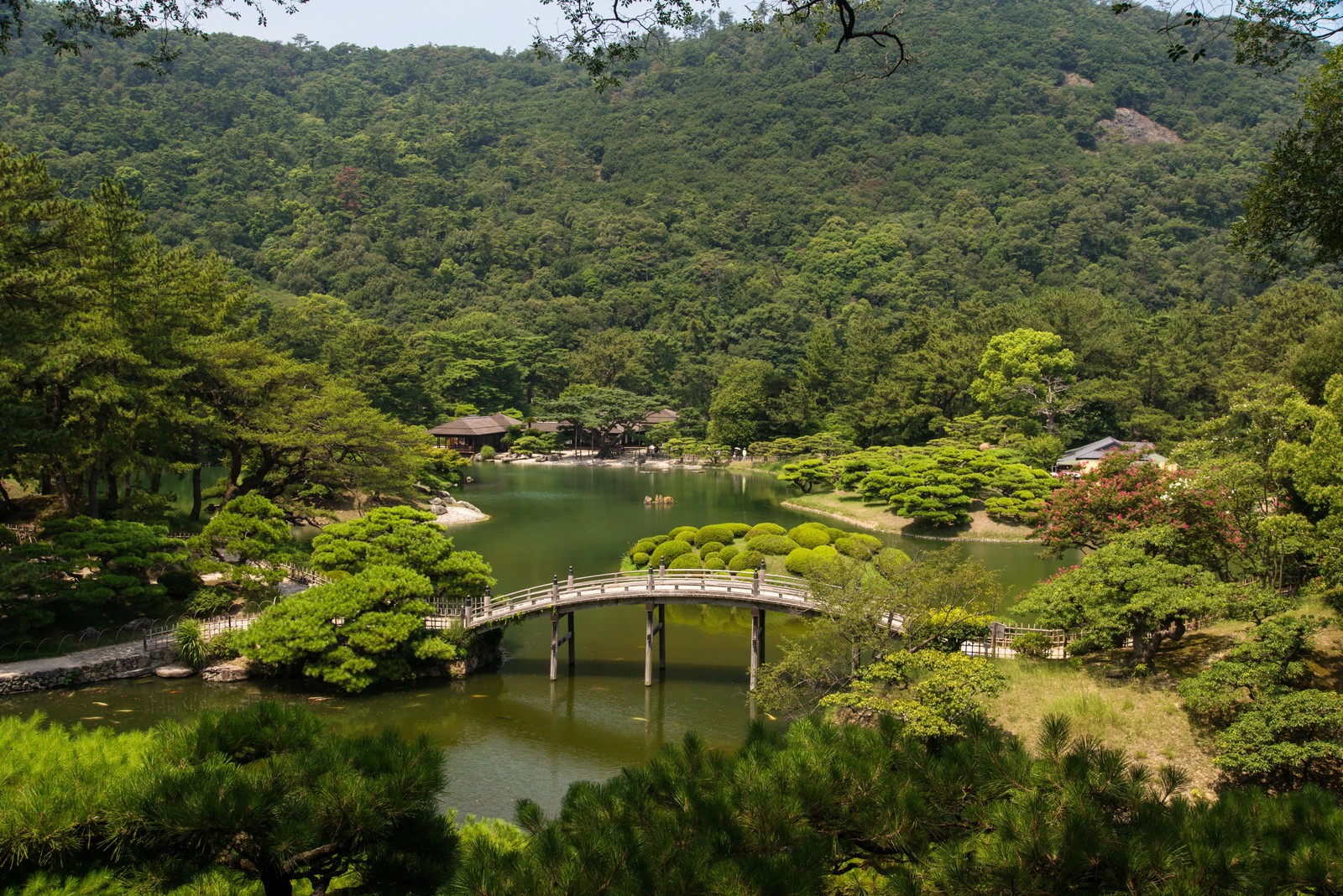 A view of a bridge over a small pond in a park (park, japanese garden, nature, vegetation, natural landscape)