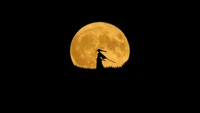 Silhouette minimaliste de samouraï contre une pleine lune