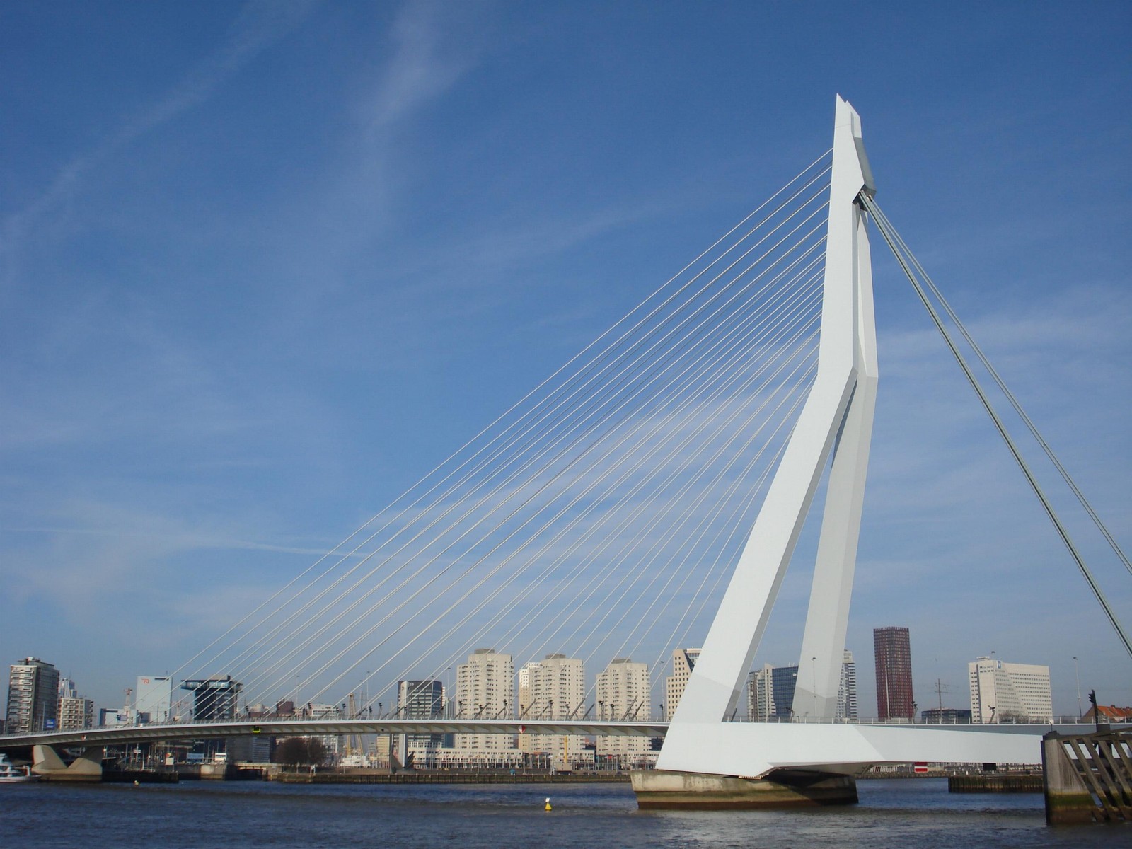 Un puente sobre un río con una ciudad de fondo (puente atirantado, puente, puente extradosado, puente colgante, hito)