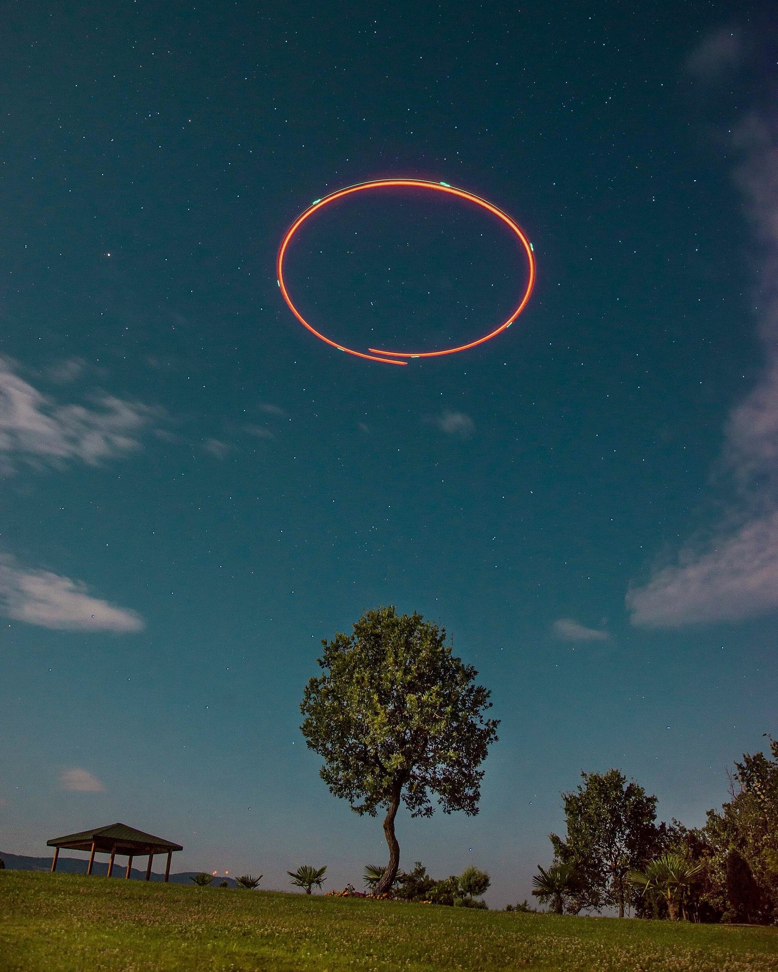 Há um objeto circular no céu acima de uma árvore (horizonte, cosmos, universo, maçã, objeto voador não identificado)