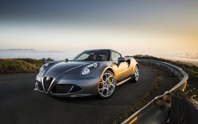 Silberner Alfa Romeo 4C Supersportwagen in einer eleganten Seitenansicht vor einer malerischen Kulisse.