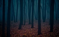 Forêt Sombre Mystérieuse dans une Atmosphère Brumeuse