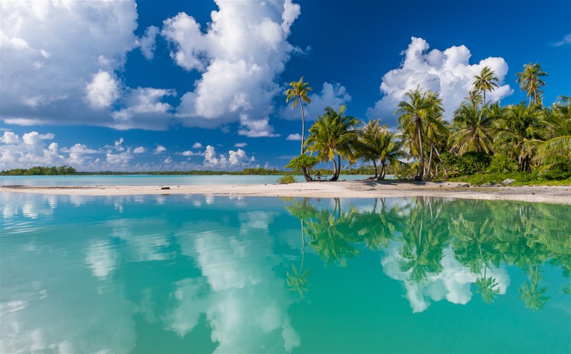 Вид на пляж с пальмами и чистой голубой водой (атолл, пляж, моореа, moorea, остров)