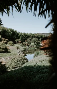 Paisagem natural serena com um lago tranquilo cercado por vegetação exuberante e diversa sob um céu claro.