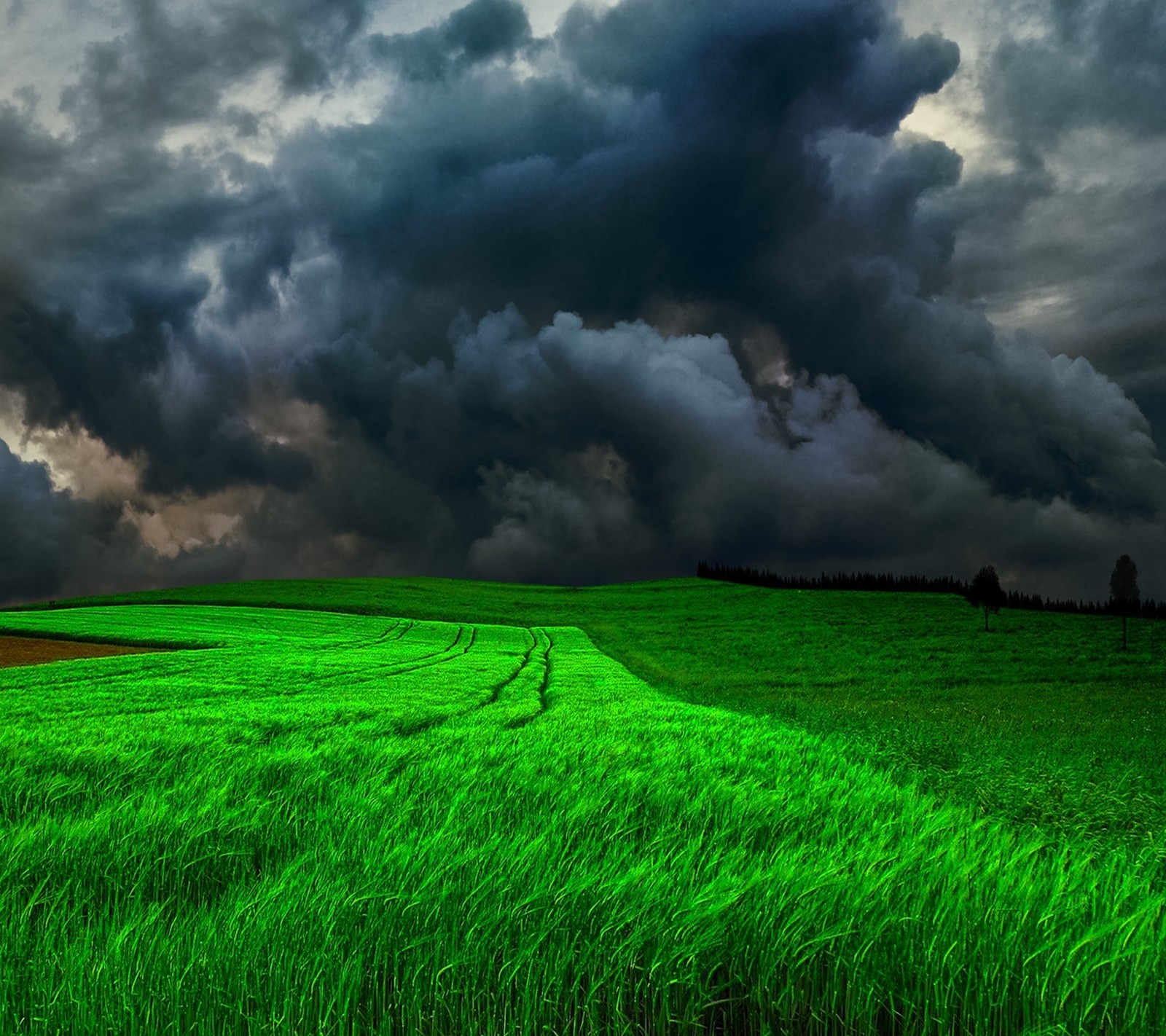 Arafed view of a green field with a dark sky (landscape, nature)