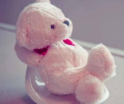 amor, teddy