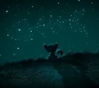 cat, pez, noche, estrellas