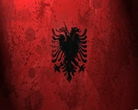 albanien, kosovo, rot und schwarz, shqiponja