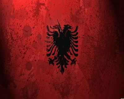 albanien, kosovo, rot und schwarz, shqiponja