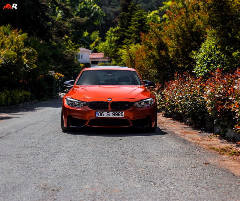 Крупный план автомобиля, припаркованного на дороге рядом с кустами (анкара, ankara, bmw, машина, машины)