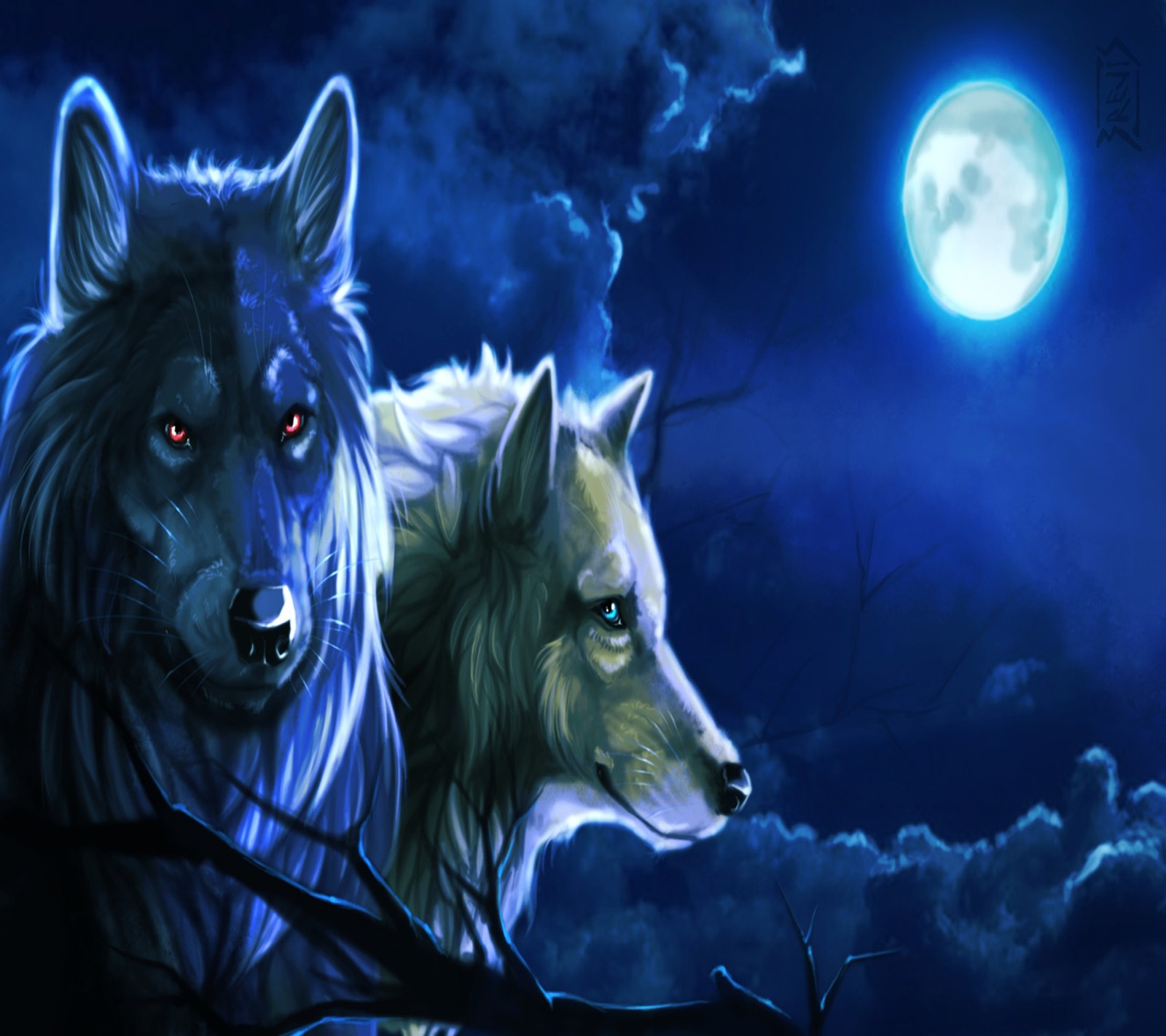 Deux loups se tiennent devant une pleine lune (beau, loups)