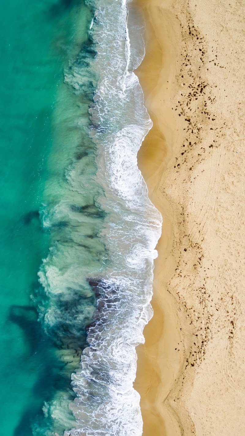 Жирафы гуляют по пляжу у воды (пляж, океан, волна, дрон, drone)