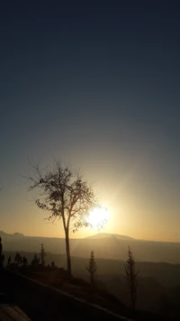 Nascer do sol sobre Ürgüp: Uma árvore solitária contra um horizonte dourado