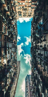 Neon-Lit Urban Canopy: A Vertical View of City Life