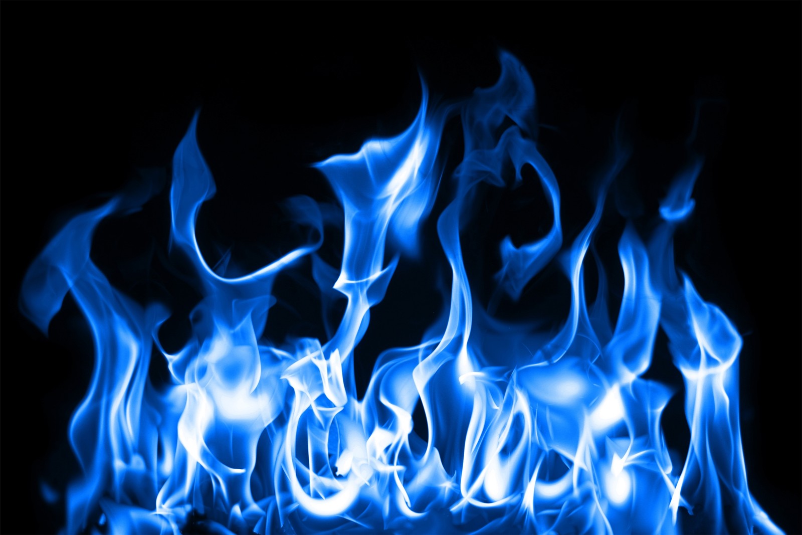 Les flammes sont bleues et noires dans l'obscurité (bleu, feu, flamme)