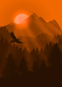 nature, orange, sunrise, natural landscape, morning wallpaper