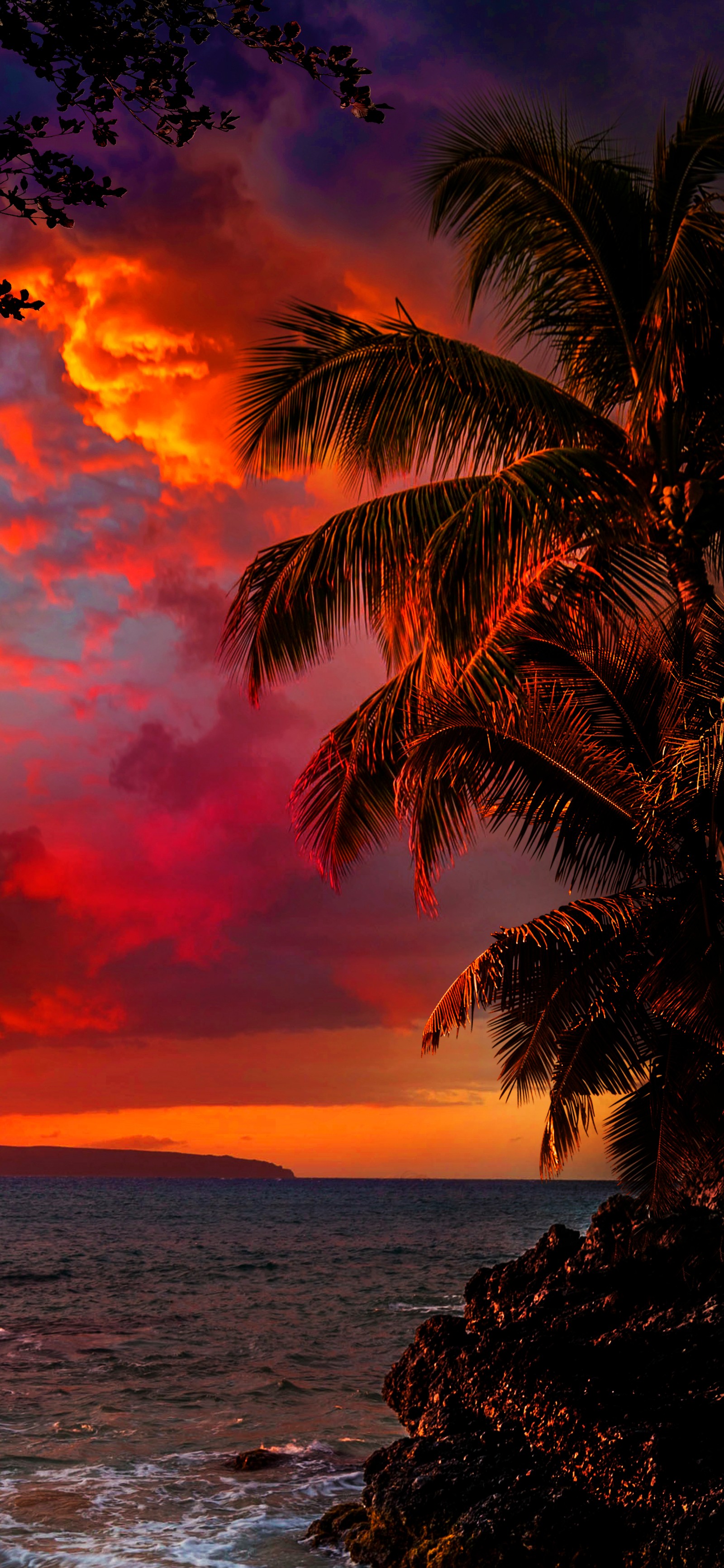 Sunset over the ocean with palm trees and a boat in the water (cloud, water, atmosphere, light, afterglow)