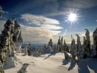 inverno, neve, natureza, montanha, árvore