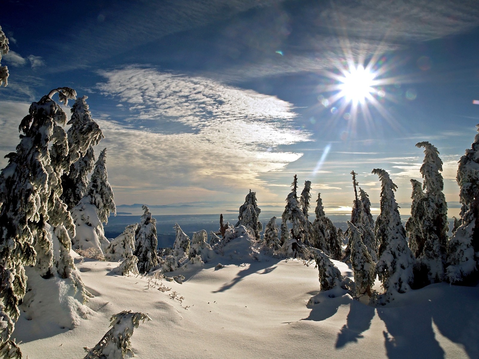 Uma vista aérea de uma montanha nevada com árvores e sol (inverno, neve, natureza, montanha, árvore)