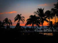 Serenidad del crepúsculo: palmeras en silueta contra un vibrante atardecer sobre la playa de Oahu