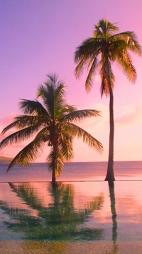 Tropical Serenity: Palm Trees Reflecting in an Azure Pool at Dusk