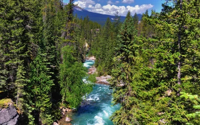 jasper, parc, parc national, réserve naturelle, nature