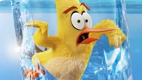 angry birds le film 2, angry birds movie 2, chuck