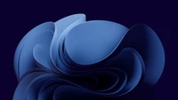 Curvas azules fluidas sobre fondo oscuro - fondo abstracto de Windows 11