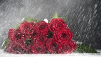 Elegante ramo de rosas rojas con gotas de agua