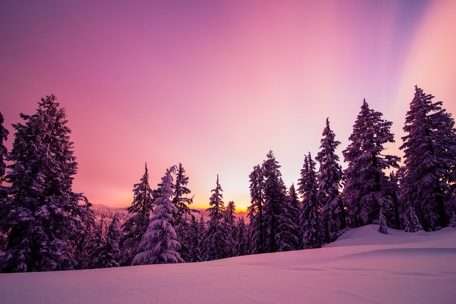 Una vista de una montaña nevada con árboles y un cielo púrpura (invierno, bosque, atardecer, fondo rosa, estética rosa)