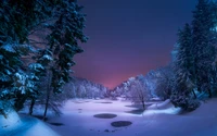 Paisaje Nocturno Invernal Sereno: Naturaleza Congelada Bajo un Cielo Estrellado