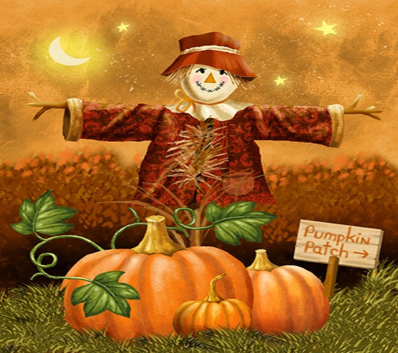 Painting of a scarecrow with pumpkins and a sign in a field (field, pumpkin)