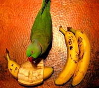 Playful Parrot and Cartoonish Bananas in a Whimsical Scene