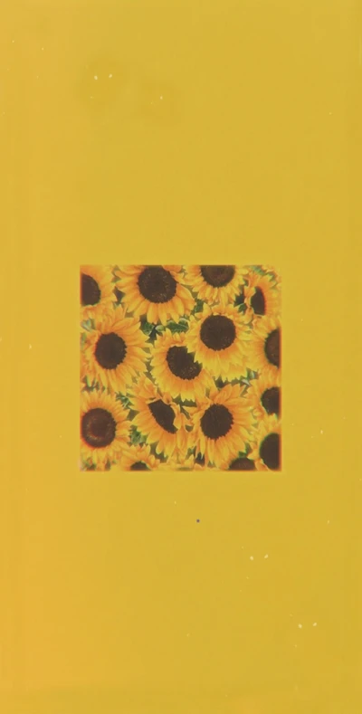 Vibrant Sunflower Aesthetic on Yellow Background