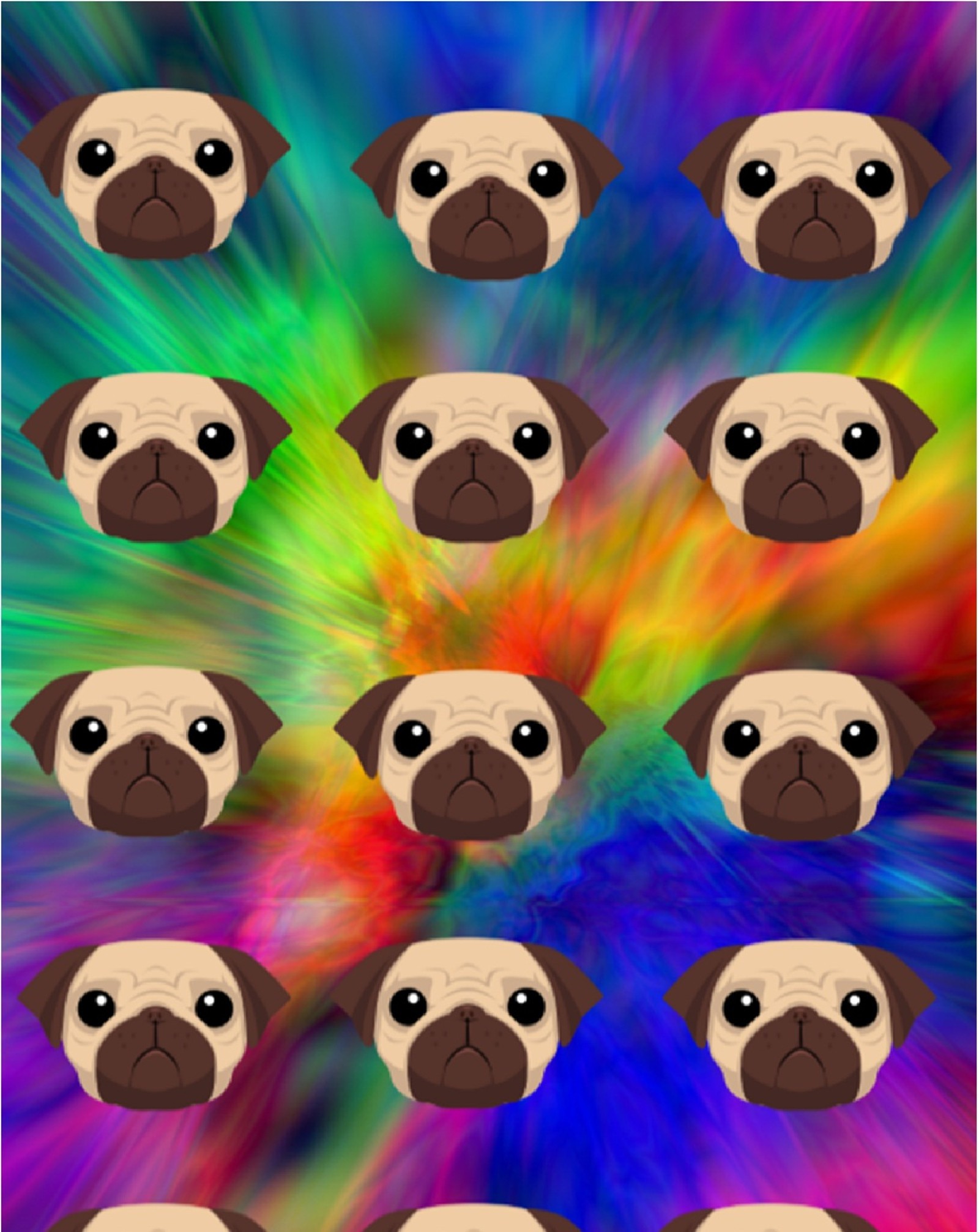 A close up of a bunch of pugs with different faces (animales, babys, bebe, colores, colors)