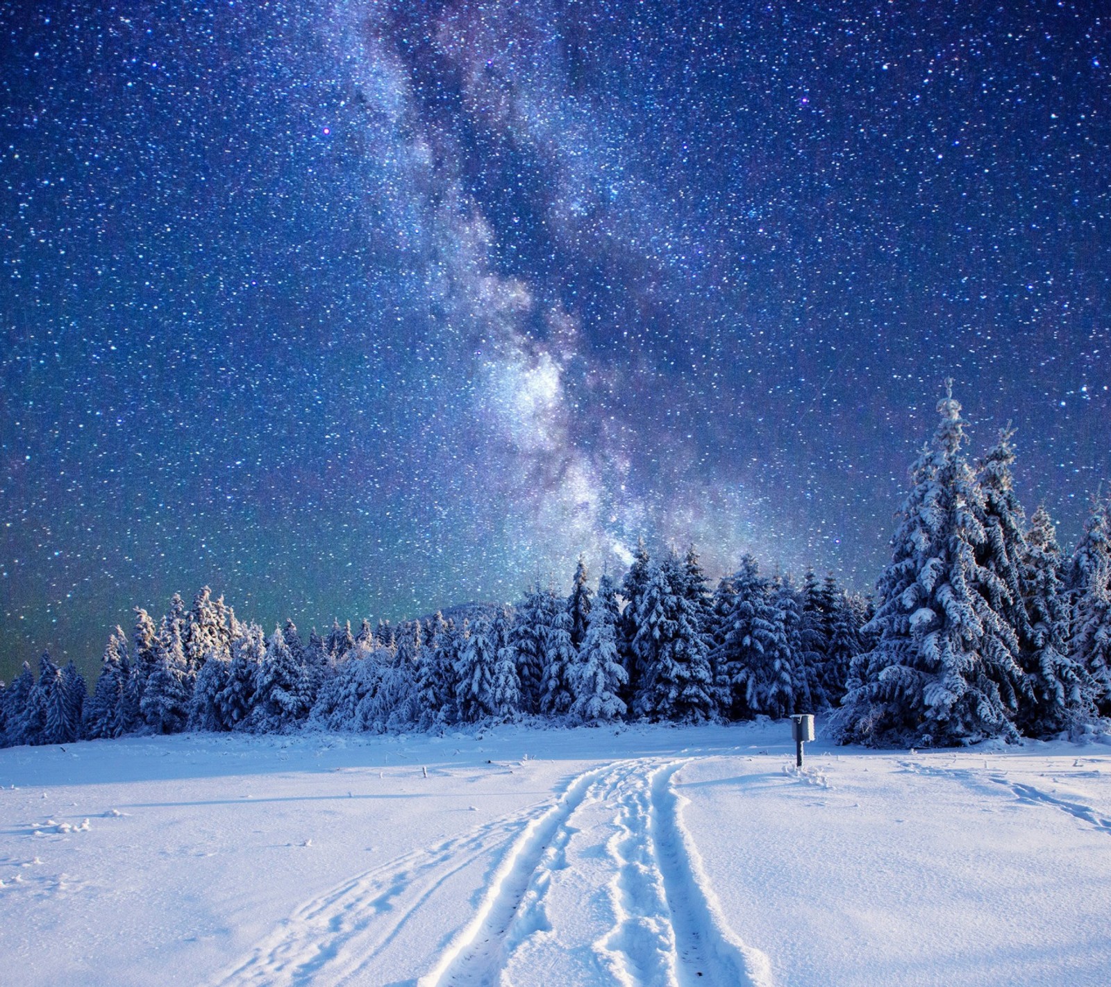 Descargar fondo de pantalla navidad, bosque, vía láctea, naturaleza, temporada