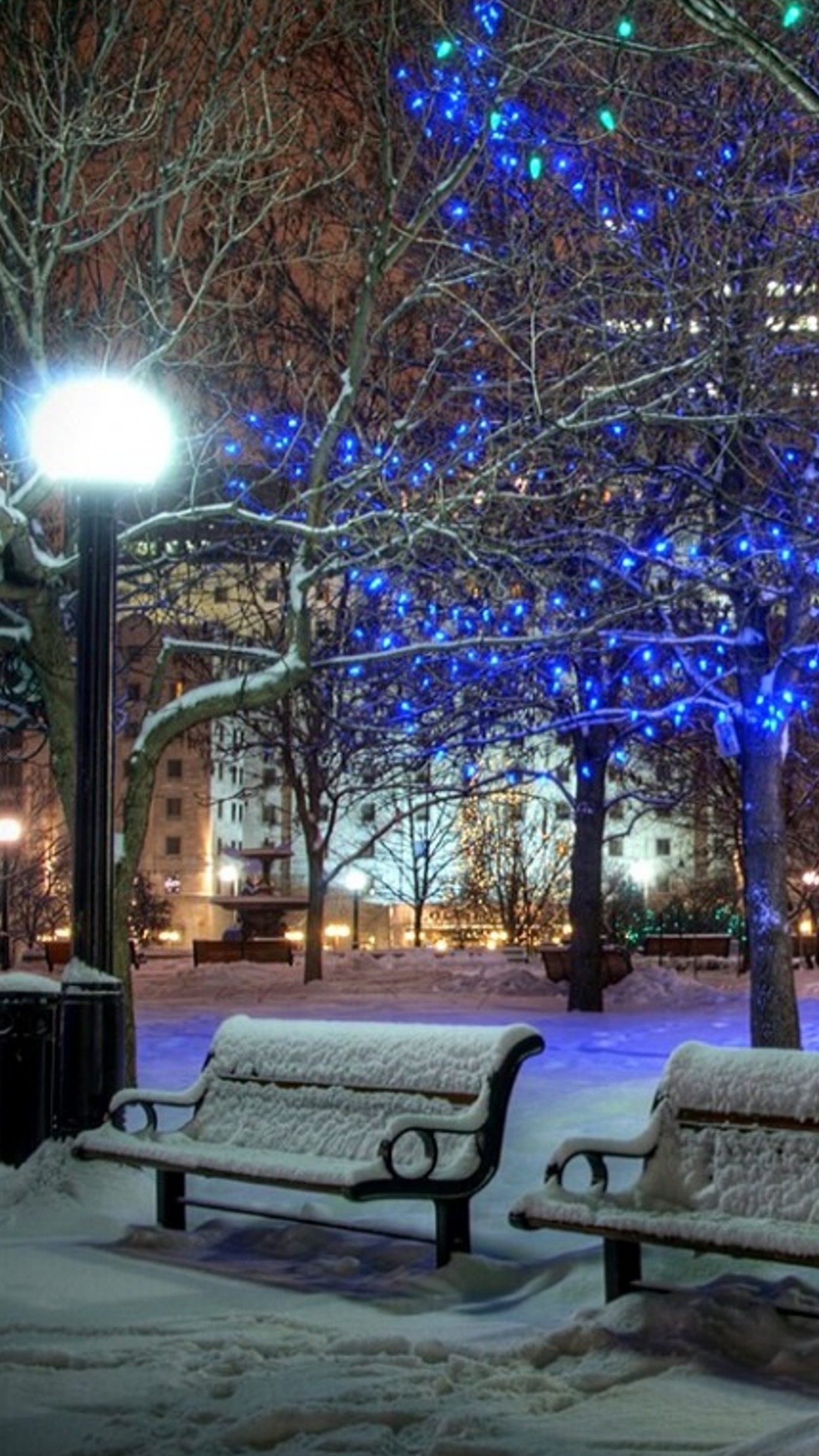 Bancs enneigés dans le parc avec des lumières bleues en arrière-plan (jardin, lumières, hiver)