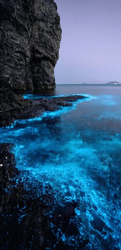 Biolumineszente Wellen bei Dämmerung am Ufer