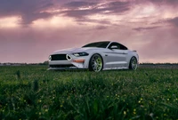 Élégant Ford Mustang GT dans un champ serein au coucher du soleil, mettant en valeur des accents verts vibrants et des phares frappants.