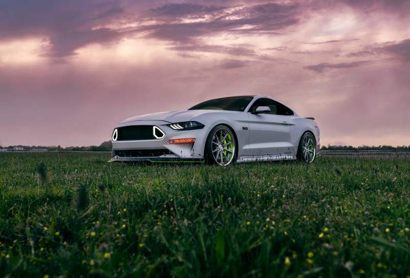 Белый мустанг, припаркованный на поле под облачным небом (форд мустанг gt, ford mustang gt, 8k, 5k, машины)