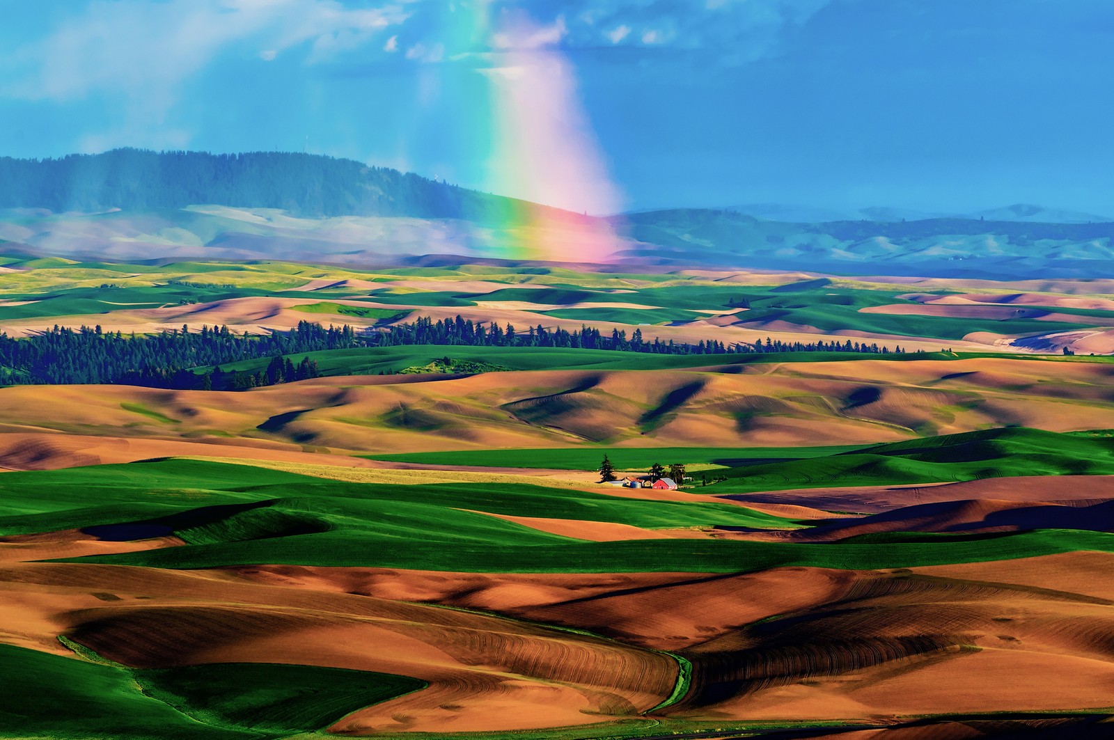 A view of a rainbow over a green field with a rainbow in the sky (grassland, hill, plain, landscape, highland)