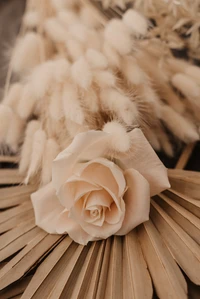 Peach Rose and Dried Floral Arrangement on Wooden Surface