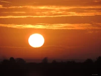 Goldener Horizont bei Sonnenaufgang: Ein lebendiger Himmel, umarmt von der Sonne