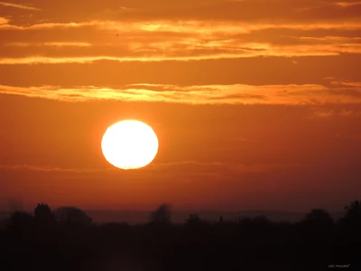 Golden Horizon at Sunrise: A Vibrant Sky Embraced by the Sun