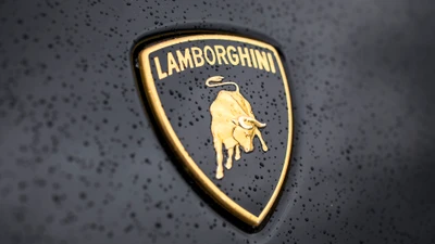 lamborghini, логотип, эмблема, спортивный автомобиль, спортивная машина