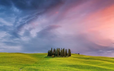 Serene Tuscan Hills: Lush Grasslands Beneath a Colorful Sky