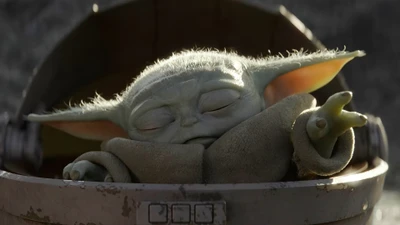 Bebê Yoda dormindo em seu pod de The Mandalorian